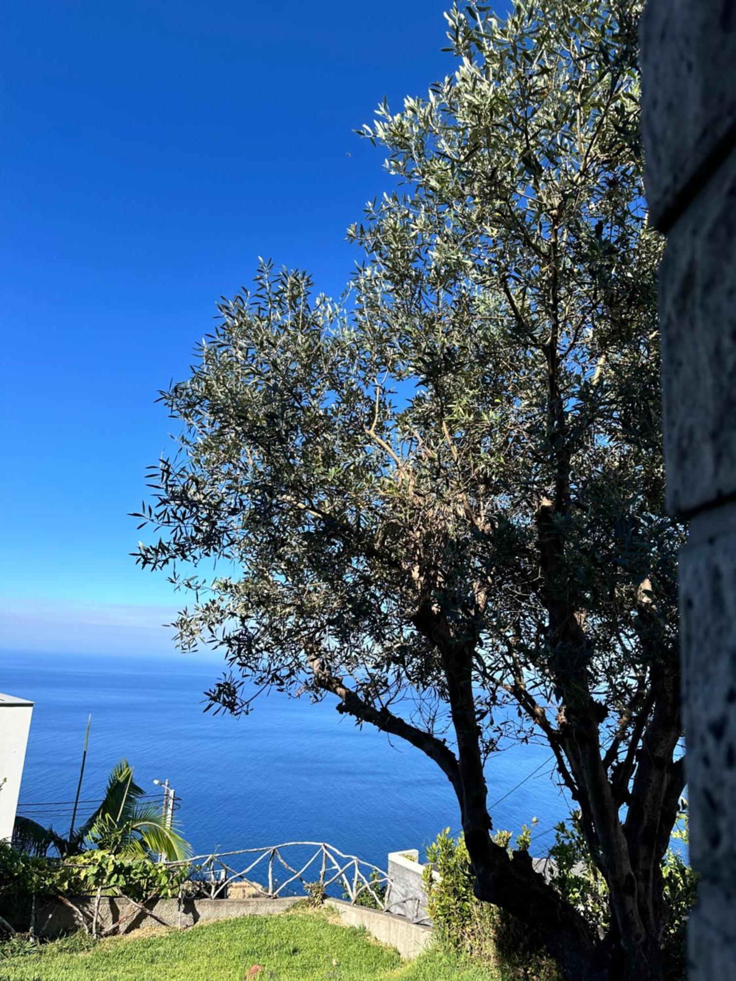 Cozy Sea View House Faja Da Ovelha Villa Calheta  Exterior photo